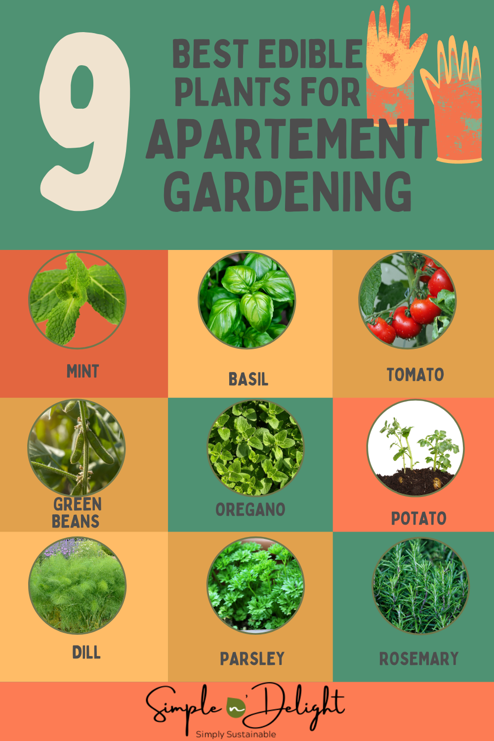 View of Green Thumb In A Limited Space: Apartment Gardening Tips And Tricks ...